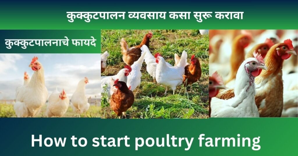 poultry farming