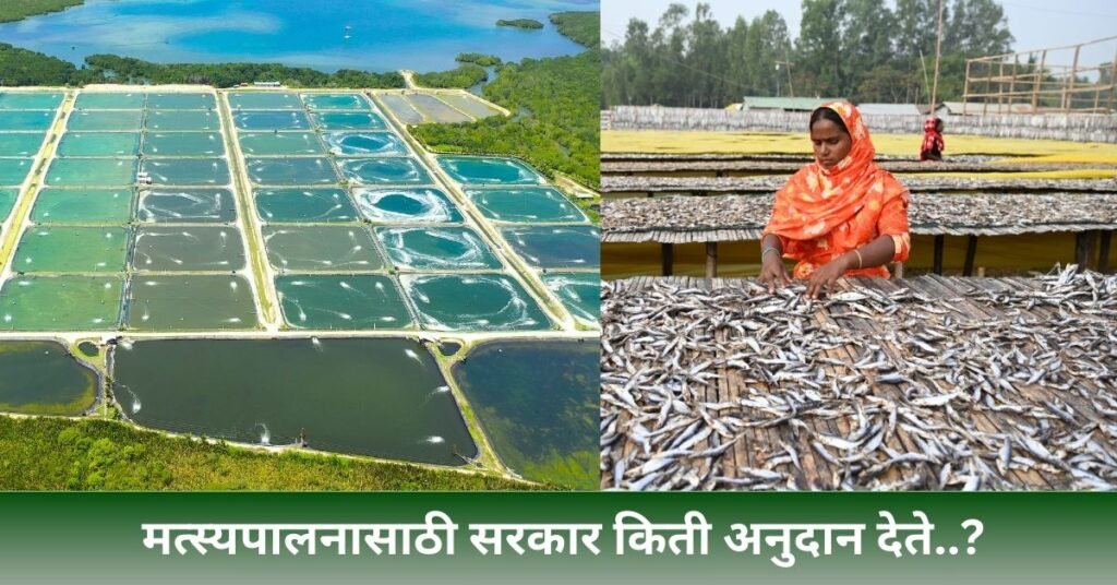 Fish Farming