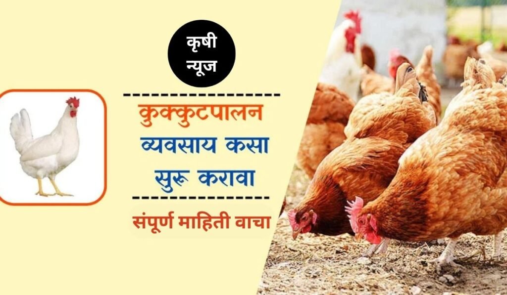 poultry farming business