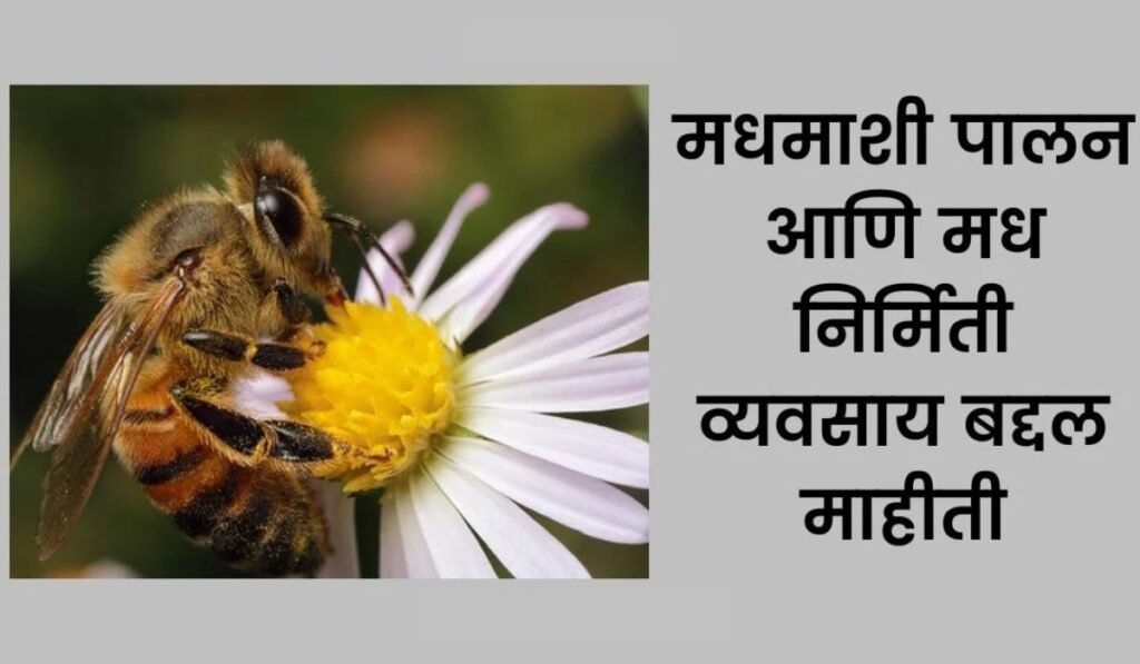 honey processing business