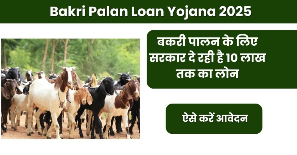 Bakri Palan Loan Yojana 2025