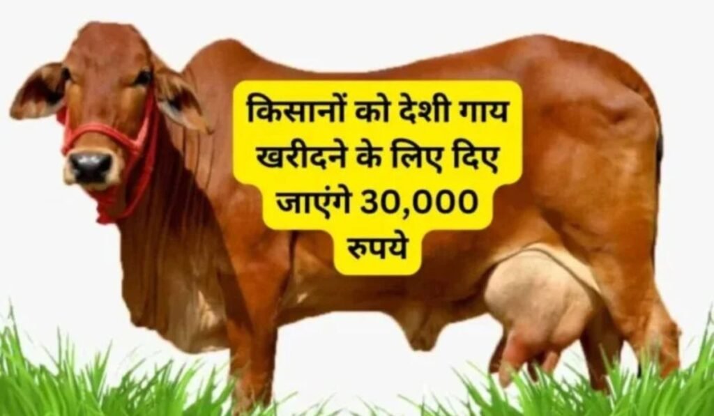 Desi Cow Subsidy Scheme